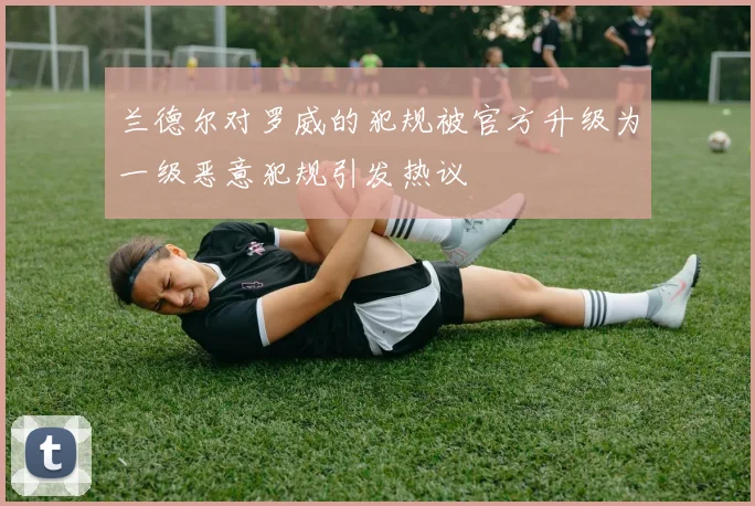 兰德尔对罗威的犯规被官方升级为一级恶意犯规引发热议