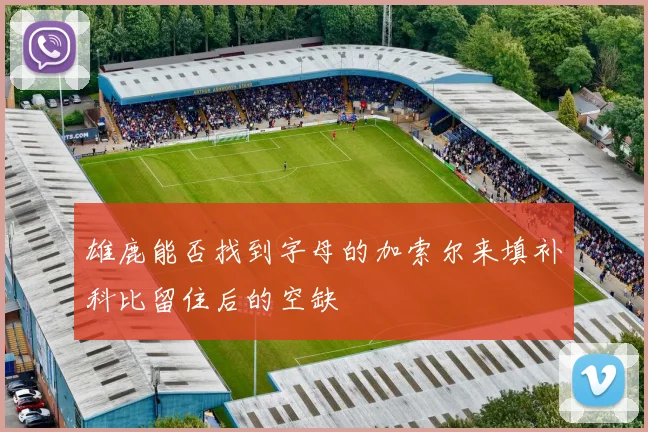 雄鹿能否找到字母的加索尔来填补科比留住后的空缺